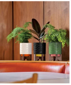Debossed Plant Pot On Wooden Stand - Black