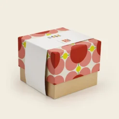 Ceramic Storage Jar - Atomic Flower Bubblegum -Home Decor & Bags-Orla Kiely 149533ok750mlstoragejaratomicflowerbubblegum4box