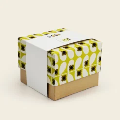 Ceramic Storage Jar - Wild Rose Stem Dandelion -Home Decor & Bags-Orla Kiely 149557ok750mlstoragejarwildrosestemdandelionl4box